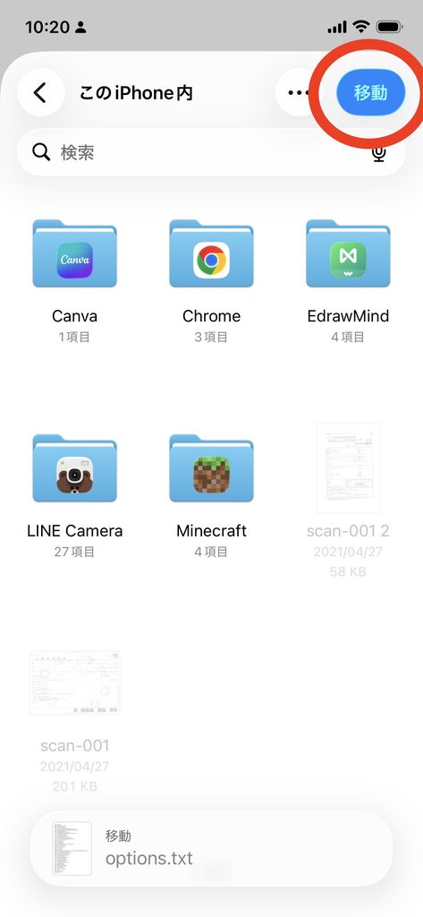 optionsファイルをこのiPhone内へ退避する画面