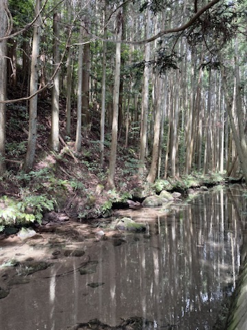 丸池様と牛渡川を巡った際の風景