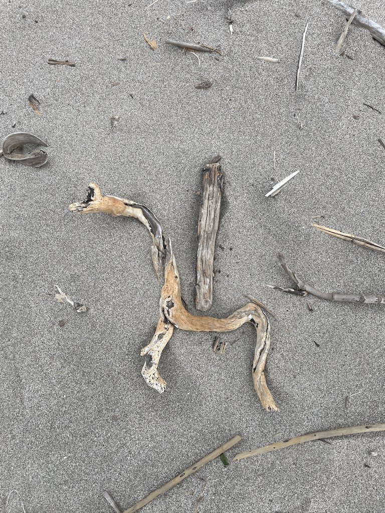 寺泊の海岸で拾った漂着物（馬のような形の流木）